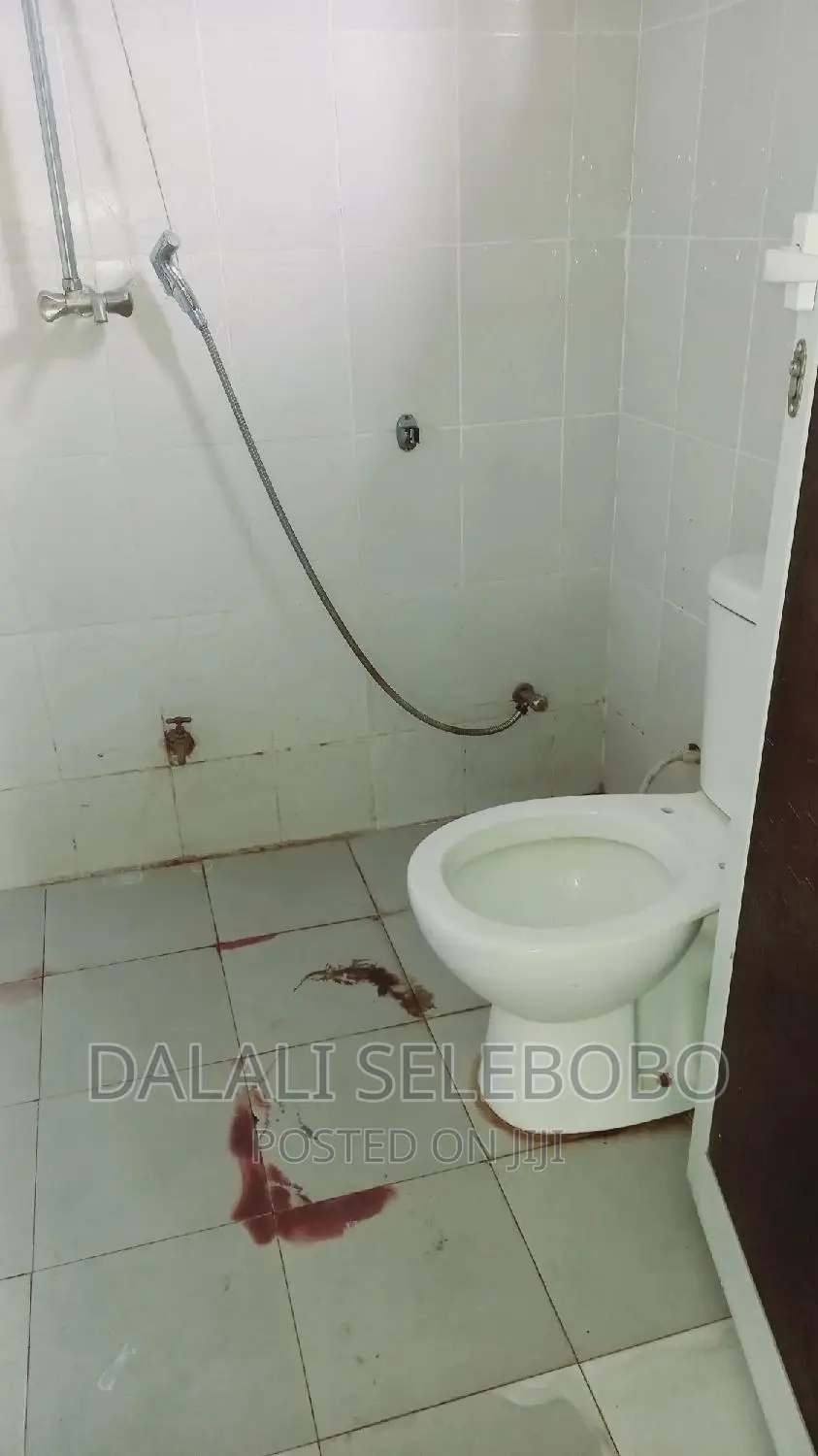 Mini Flat in Kijitonyama for rent