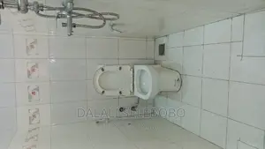 Furnished Mini Flat in Mikocheni B for rent