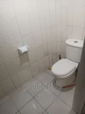 2bdrm House in Kijitonyama for rent