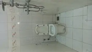Mini Flat in Mikocheni A for rent