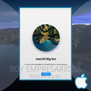 Mac OS Big Sur Installation