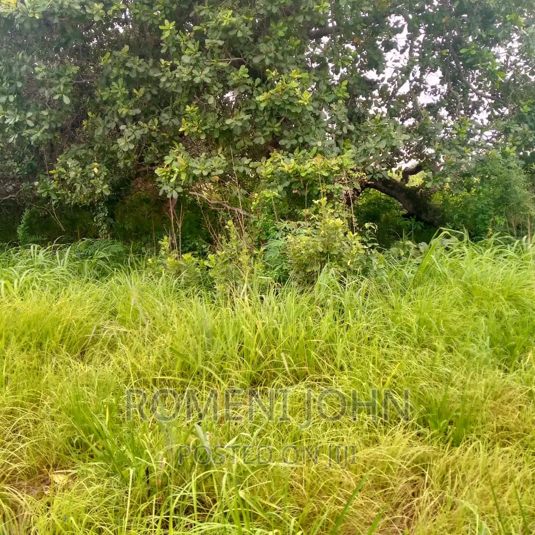 Eneo Hk 5 La Viwanda Linauzwa Ml 600 Kibaha Misugusugu.