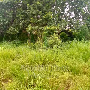 Eneo Hk 5 La Viwanda Linauzwa Ml 600 Kibaha Misugusugu.
