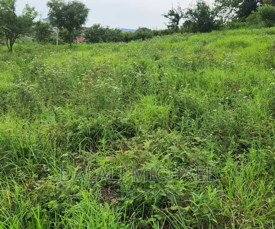 Goba Plot for Sale: