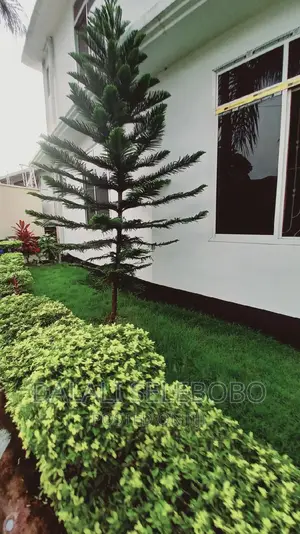Furnished 2bdrm Apartment in Ubungo Kibo, Kinondoni for rent