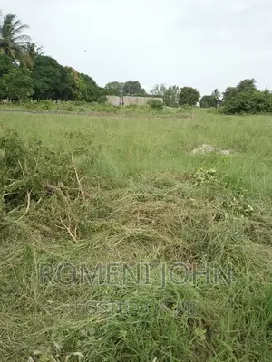 Kiwanja Sqmita 200 Kinauzwa Ml 3.3 Ukonga Bombambili.