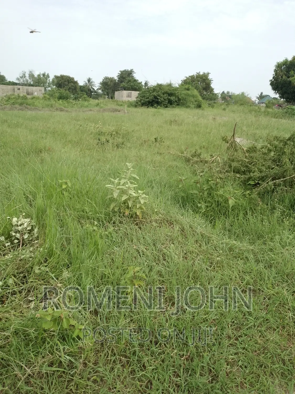 Kiwanja Sqmita 200 Kinauzwa Ml 3.3 Ukonga Bombambili.