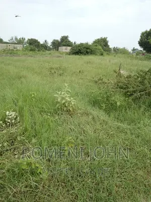 Kiwanja Sqmita 200 Kinauzwa Ml 3.3 Ukonga Bombambili.