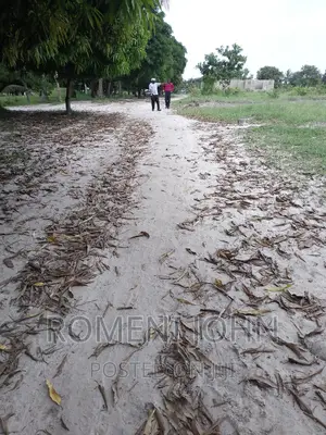 Kiwanja Sqmita 200 Kinauzwa Ml 3.3 Ukonga Bombambili.