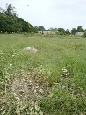 Kiwanja Sqmita 200 Kinauzwa Ml 3.3 Ukonga Bombambili.