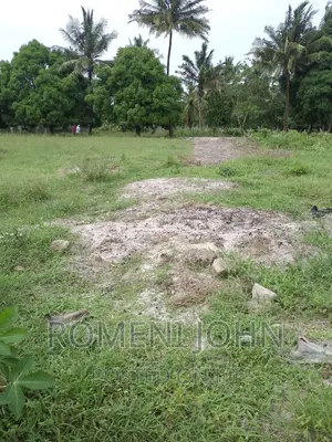 Kiwanja Sqmita 200 Kinauzwa Ml 3.1 Ukonga Bombambili.