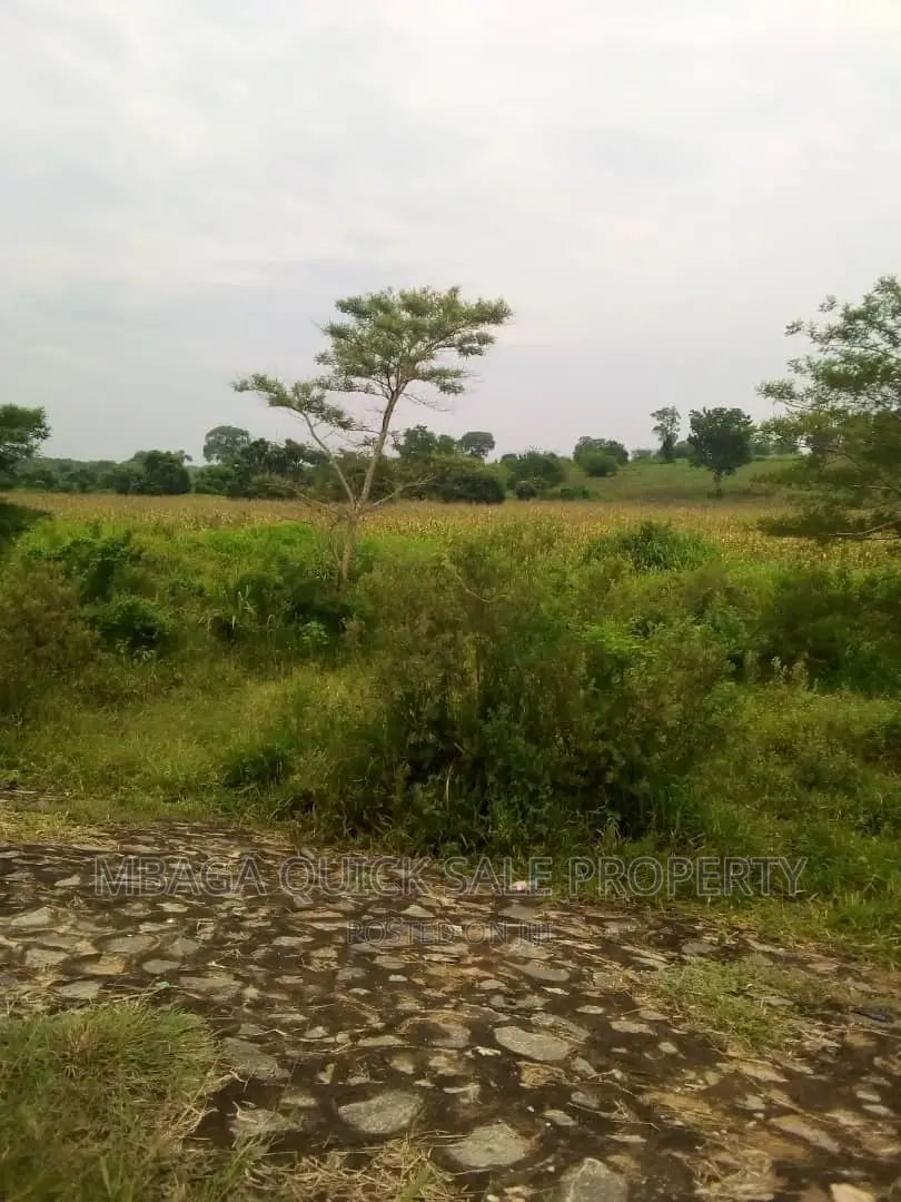 Farm for Sale at Chalinze