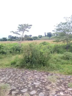 Farm for Sale at Chalinze