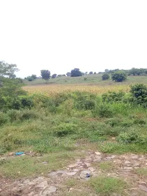Farm for Sale at Chalinze