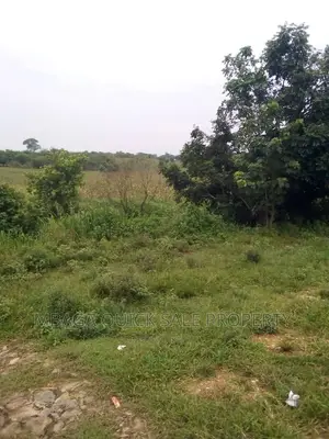 Farm for Sale at Chalinze