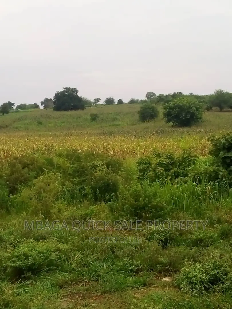 Farm for Sale at Chalinze