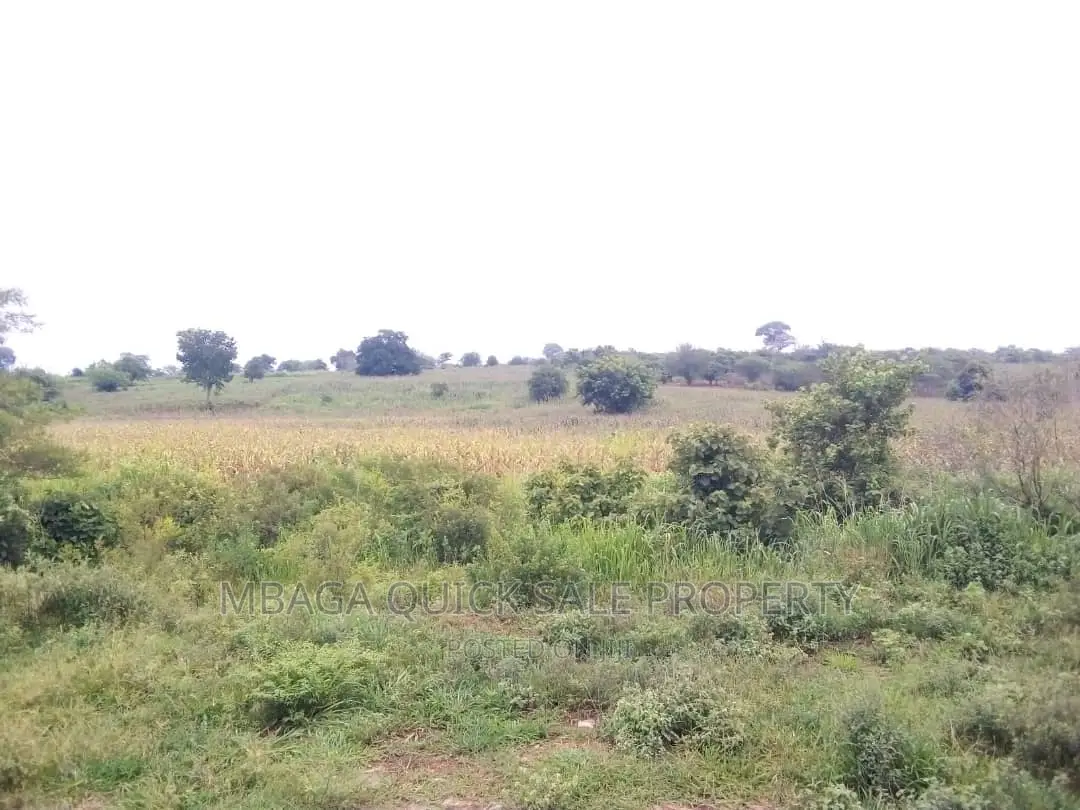 Farm for Sale at Chalinze