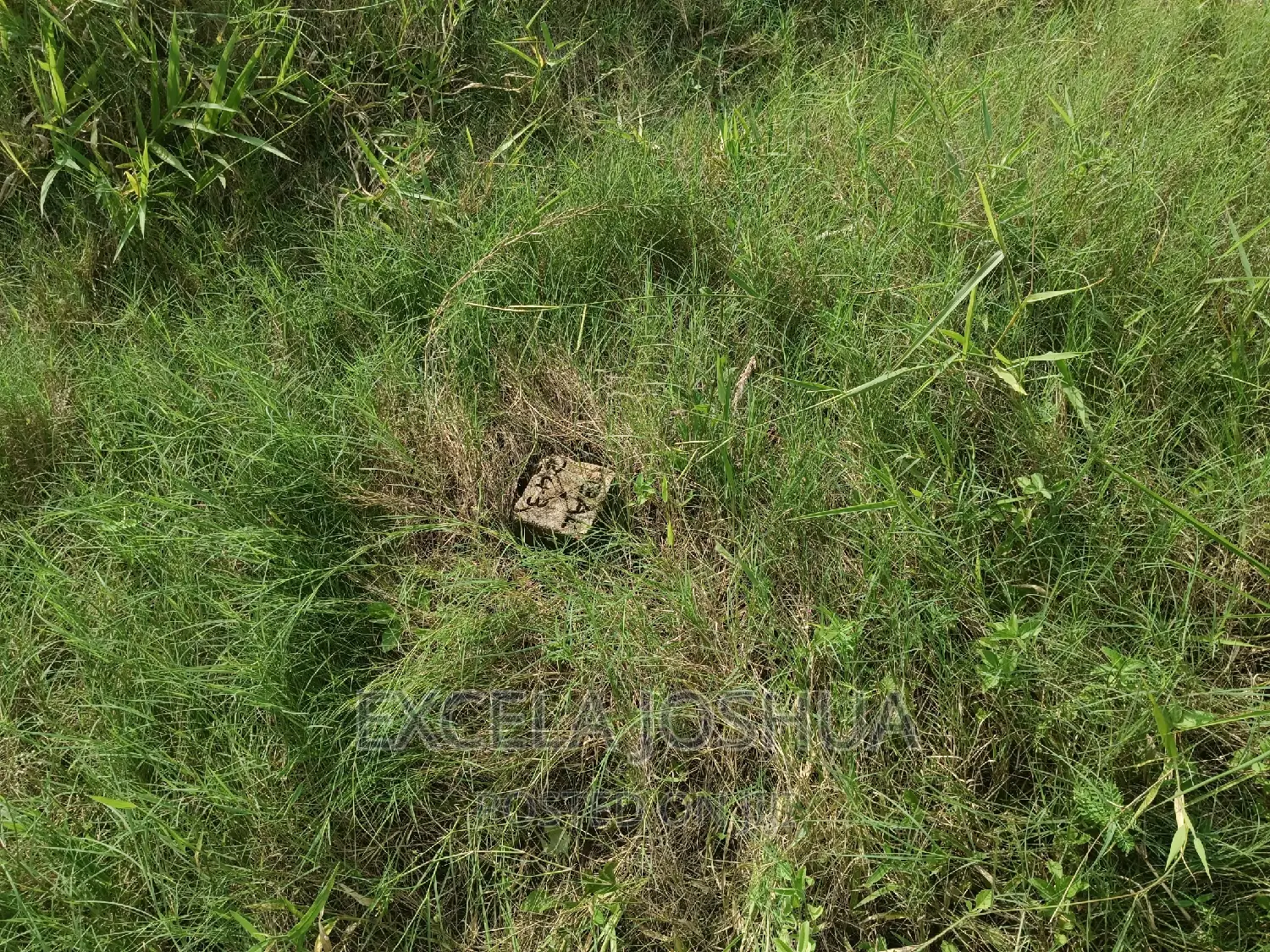Viwanja Vinauzwa Kibamba Kibwegere