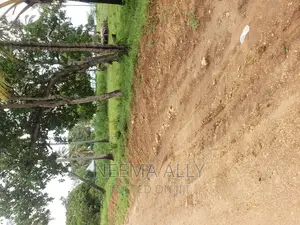 Viwanja Karibu Na Barabara
