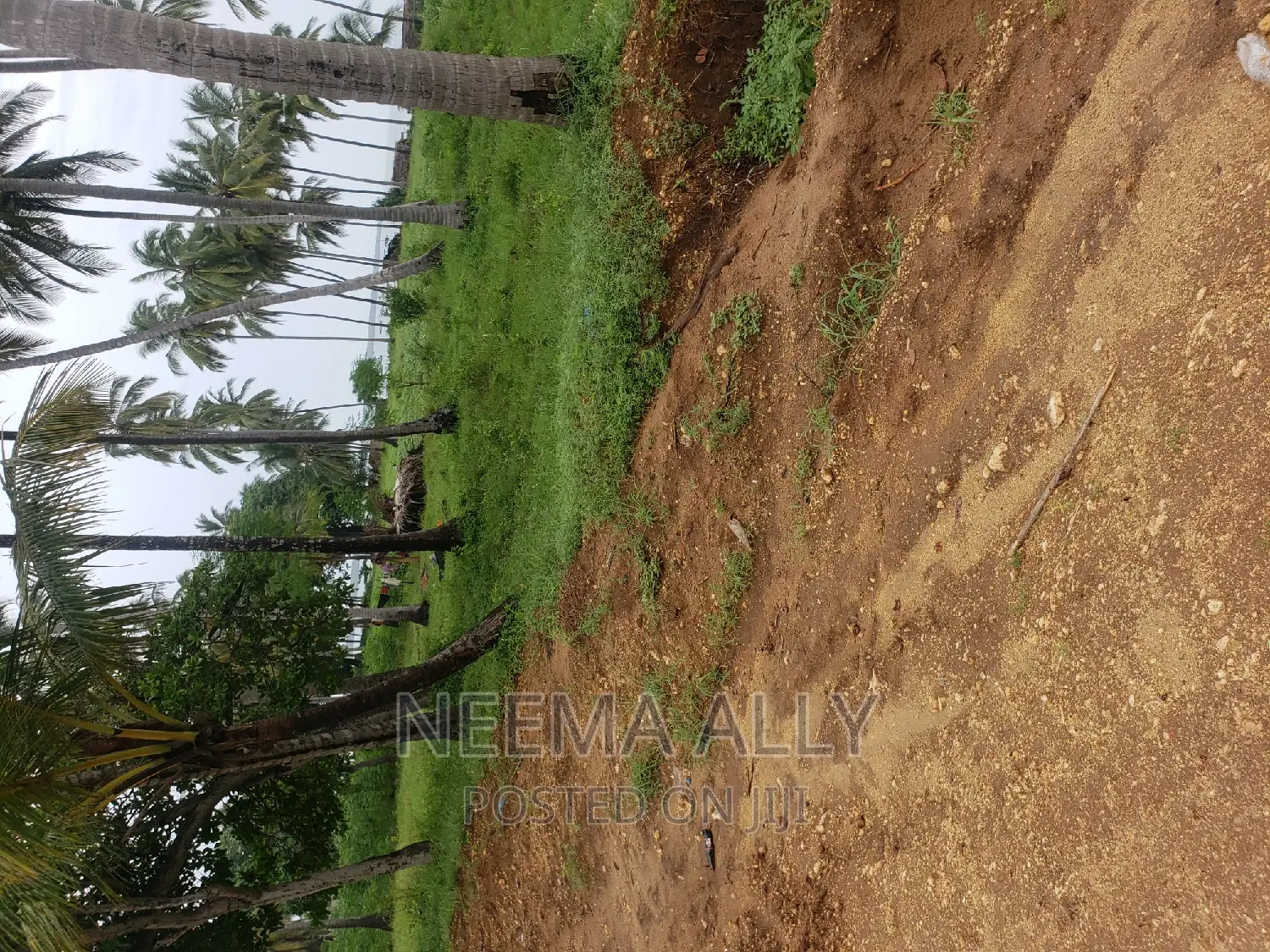 Viwanja Karibu Na Barabara