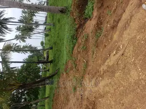 Viwanja Karibu Na Barabara
