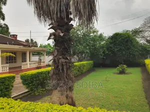4bdrm Bungalow in Ediba Real Estate, Arusha for rent