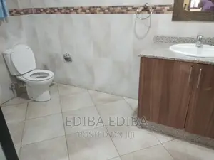 8bdrm House in Ediba Real Estate, Arusha for rent