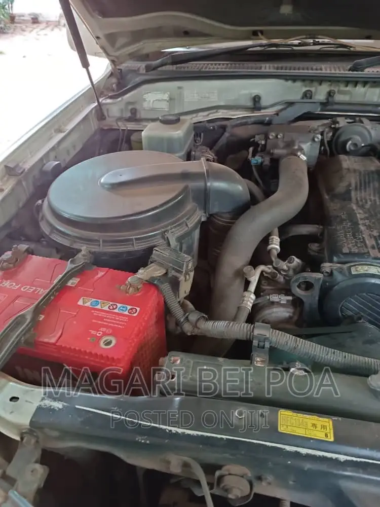 Toyota Land Cruiser 2002 White