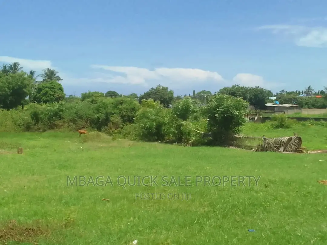 Yard for Rent at Mbezi Beach Africans