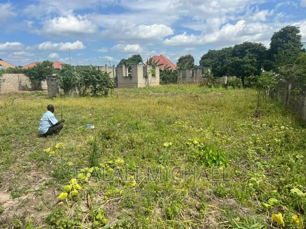 Plot for Sale Mapinga Kiharaka