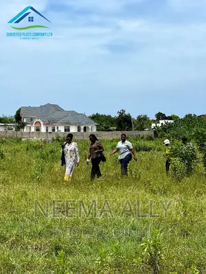Viwanja Mtaa Wa Kishua