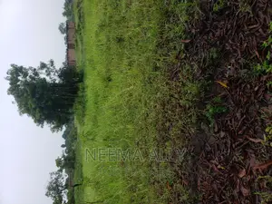 Viwanja Mtaa Wa Kishua