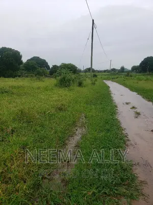 Viwanja Vya Biashara