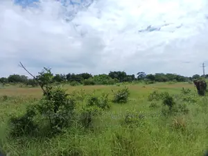 Plot for Sale at Kibaha Misugusugu