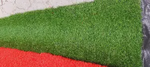 Carpet With Artificial Grass