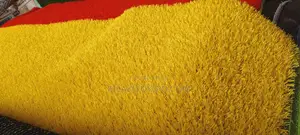Carpet With Artificial Grass