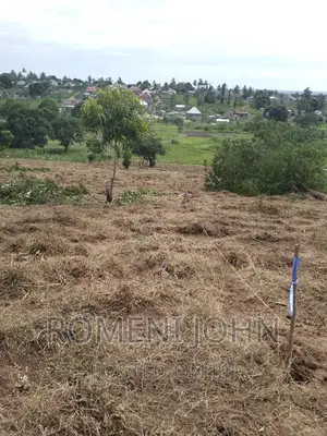 Kiwanja Sqmita 200 Kinauzwa Ml 2.8 Chanika Buyuni.
