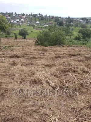 Kiwanja Sqmita 200 Kinauzwa Ml 2.8 Chanika Buyuni.