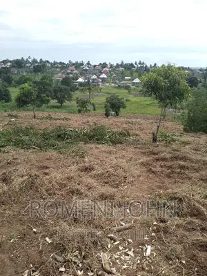 Kiwanja Sqmita 200 Kinauzwa Ml 2.8 Chanika Buyuni.