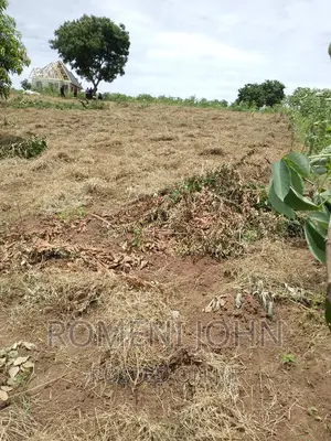 Kiwanja Sqmita 200 Kinauzwa Ml 3 Ukonga Chanika Buyuni.