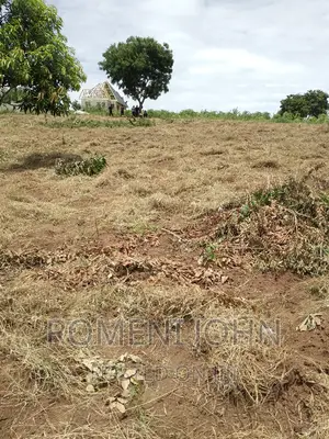 Kiwanja Sqmita 200 Kinauzwa Ml 3 Ukonga Chanika Buyuni.