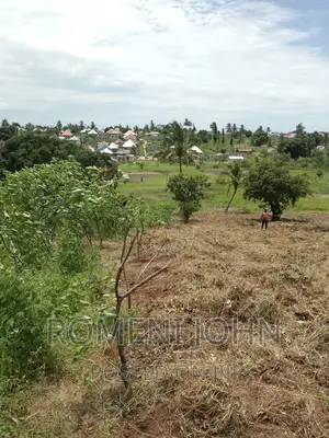 Kiwanja Sqmita 200 Kinauzwa Ml 3 Ukonga Chanika Buyuni.