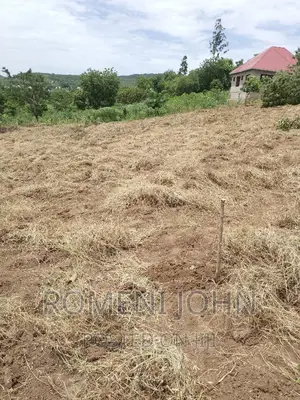 Kiwanja Sqmita 200 Kinauzwa Ml 3.1 Chanika Buyuni.