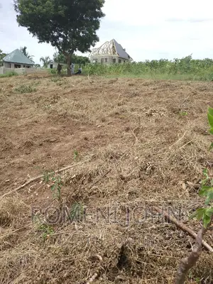 Kiwanja Sqmita 200 Kinauzwa Ml 3.6 Kipo Chanika Buyuni.