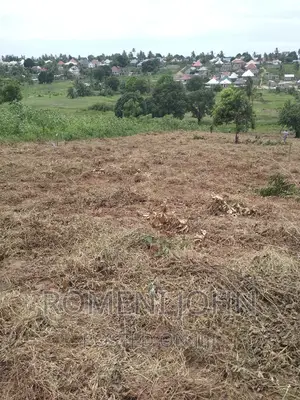 Kiwanja Sqmita 200 Kinauzwa Ml 3.7 Chanika Buyuni.