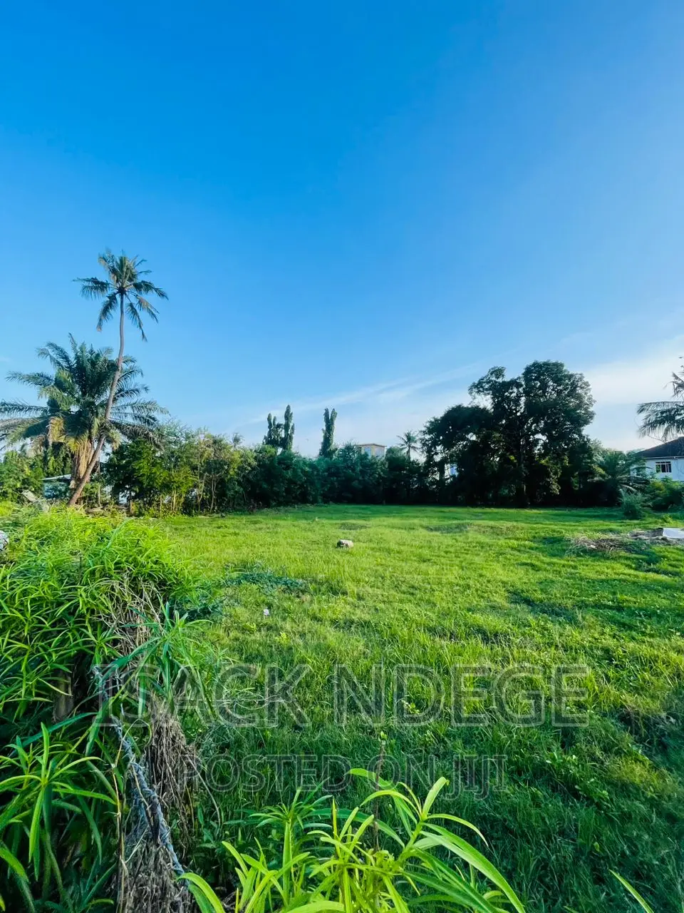 Plot for Sale in Survey Near Ardhi University