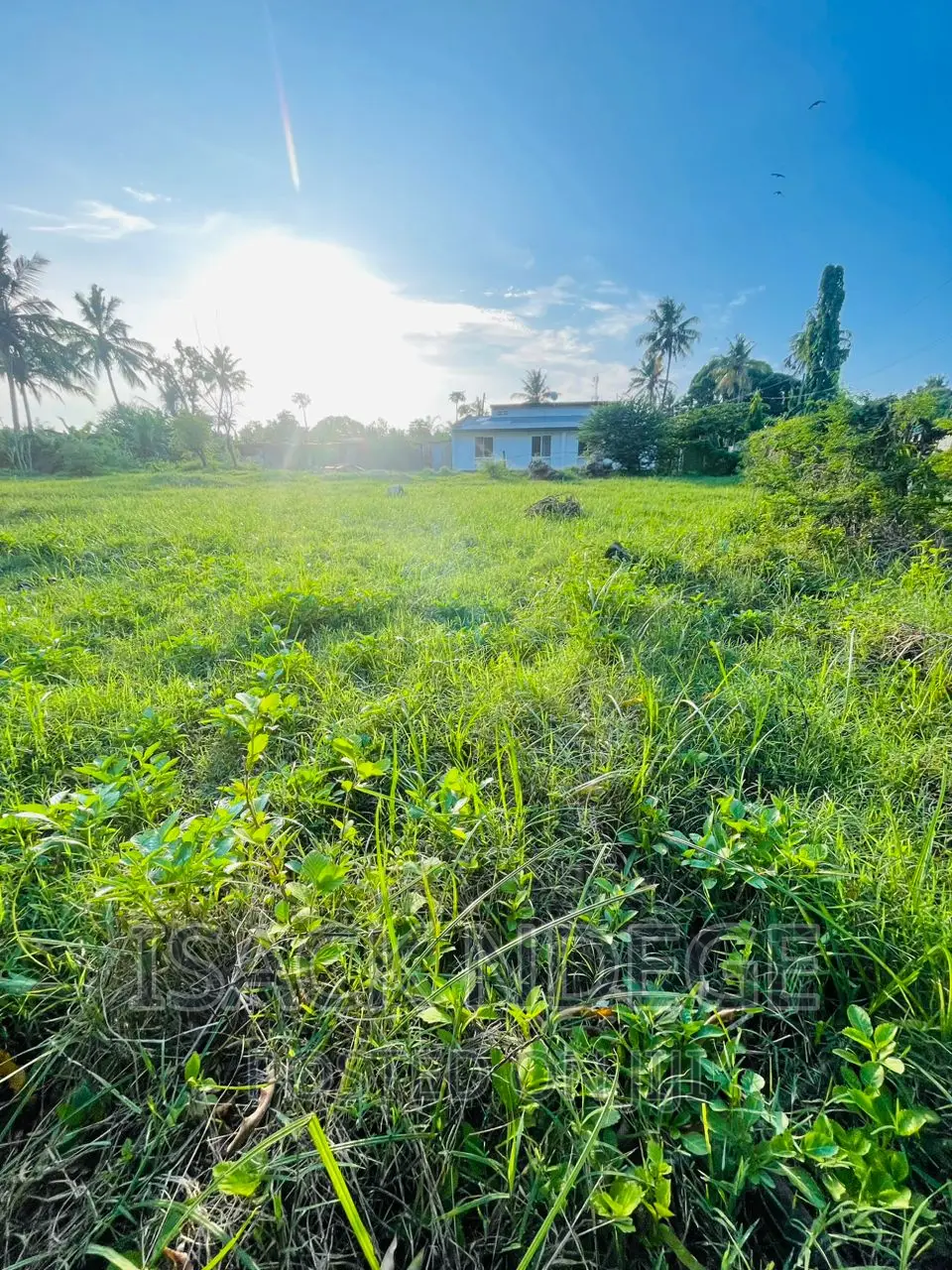 Plot for Sale in Survey Near Ardhi University