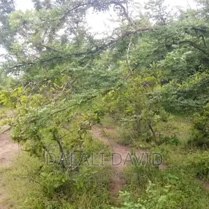 Plot for Sale at Mbweni Ubungo