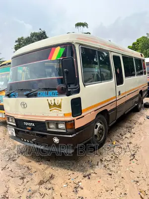 Toyota Coaster 2003 Brown