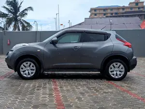 Nissan Juke 2011 Gray